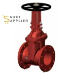 CHIEF FIRE OS&Y Resilient Seated Gate Valve – DB-CF200- Saudi Supplier